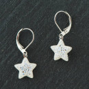 Julesmykker - Elegante stjerne øreringe med Swarovski krystaller