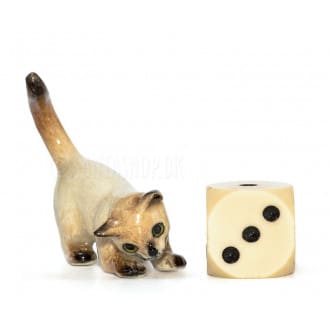 Miniature katte Siamesere enkeltvis