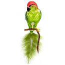 Grøn papegøje til juletræet